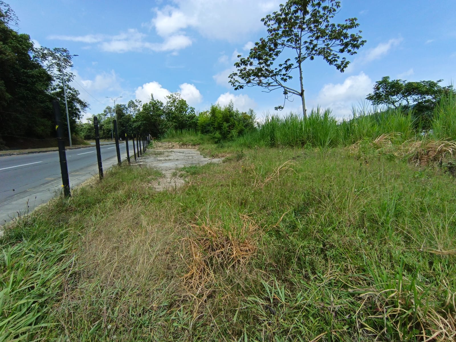 Foto de Lote / terreno en Venta en Panamericana, Manizales - 1 - 279063718