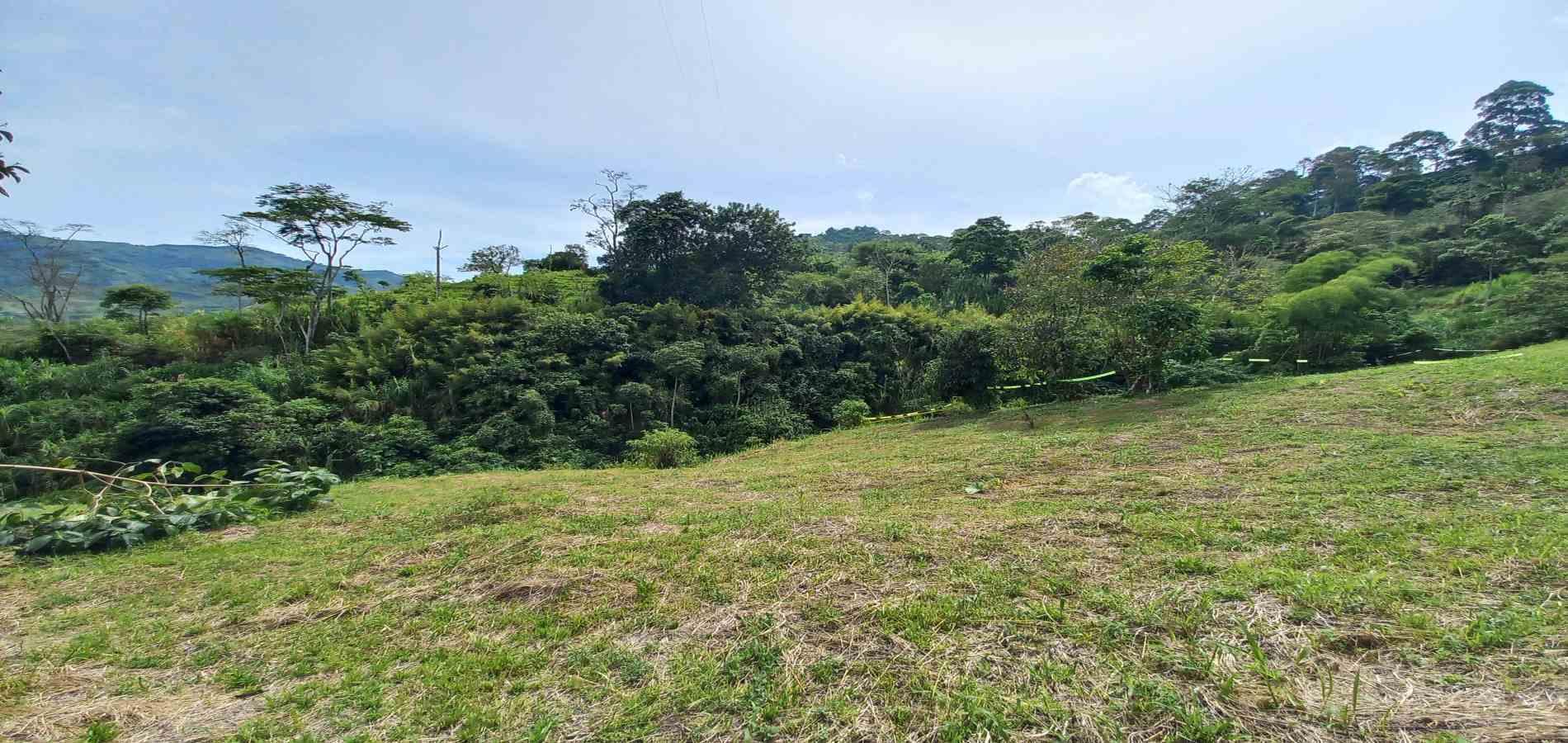 Foto de Lote / terreno en Venta en Combia, Pereira - 12 - 279069589