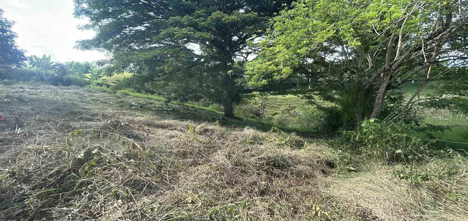 Foto de Lote / terreno en Venta en Via alcala, Pereira - 7 - 279066755