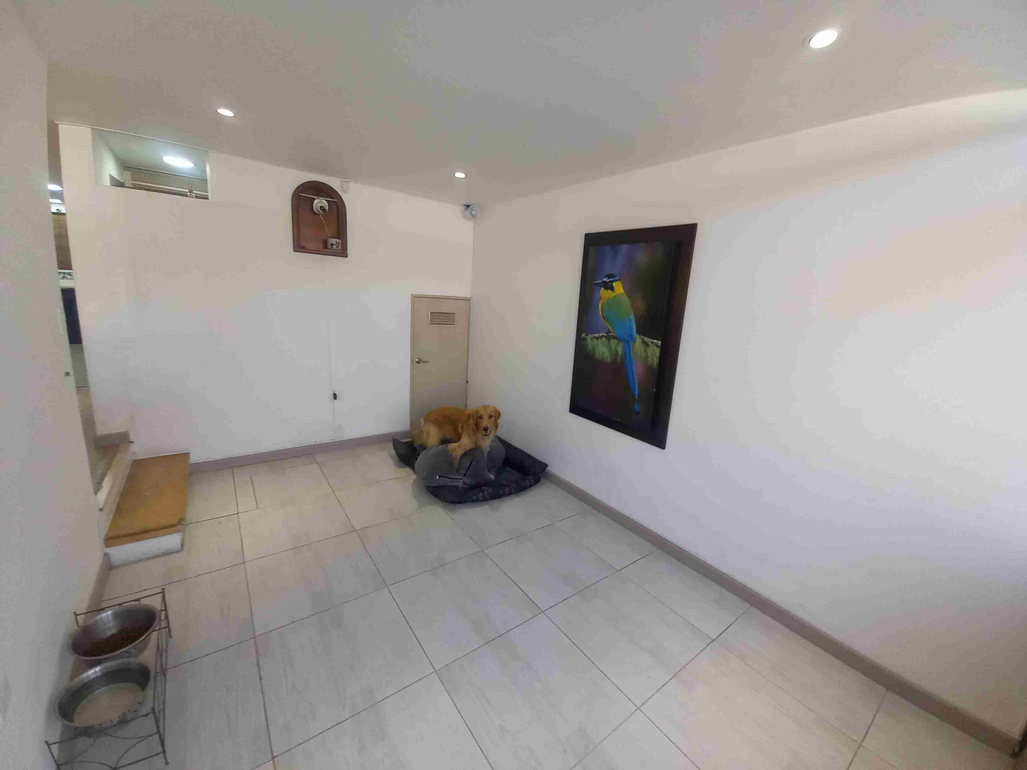 Foto de Casa en Venta en Asturias, Manizales - 2 - 279056612
