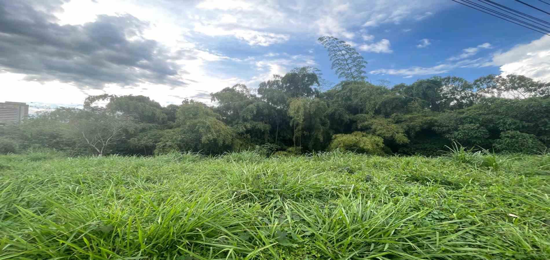 Foto de Lote / terreno en Venta en Avenida centenario, Armenia  - 5 - 279063188