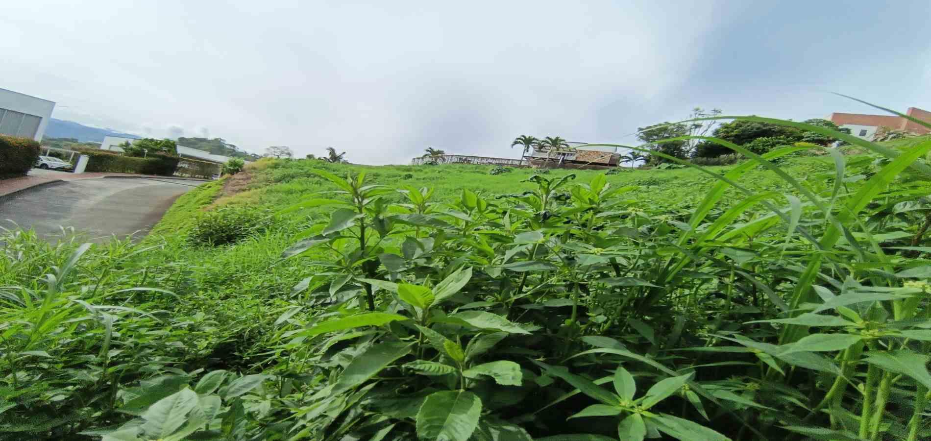 Foto de Lote / terreno en Venta en San bernardo del viento , Manizales - 24 - 279068029