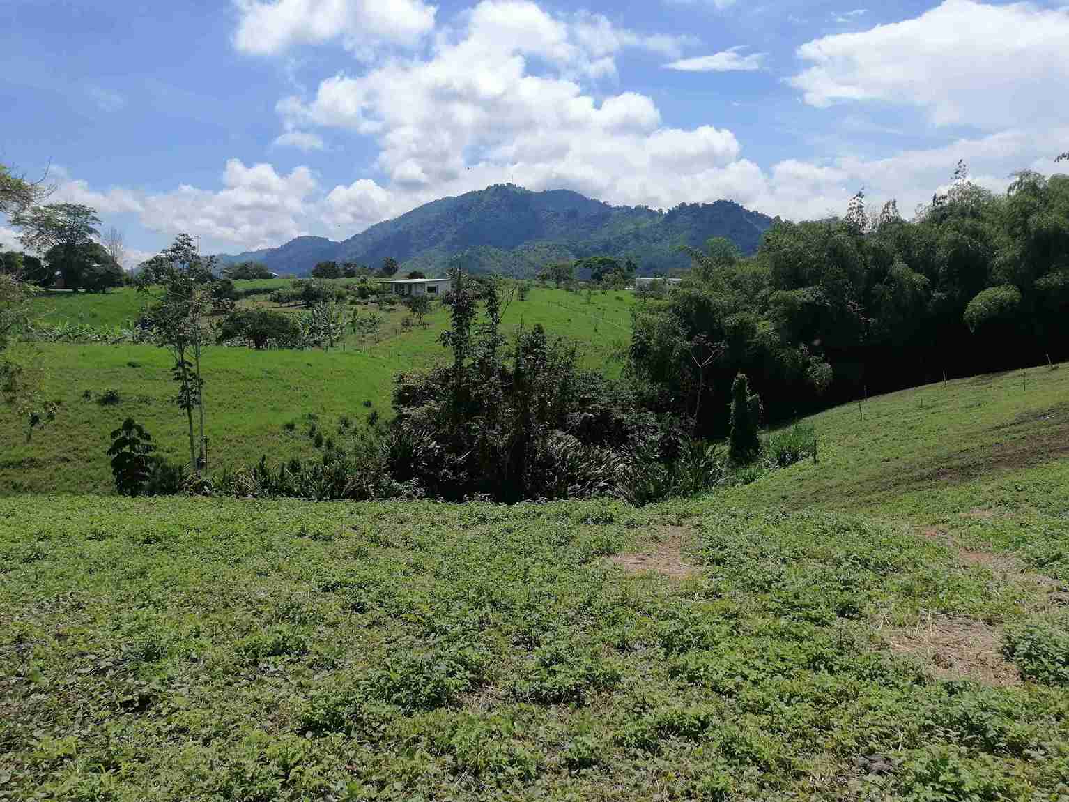 Foto de Lote / terreno para Venta en Combia, Pereira - 279058092