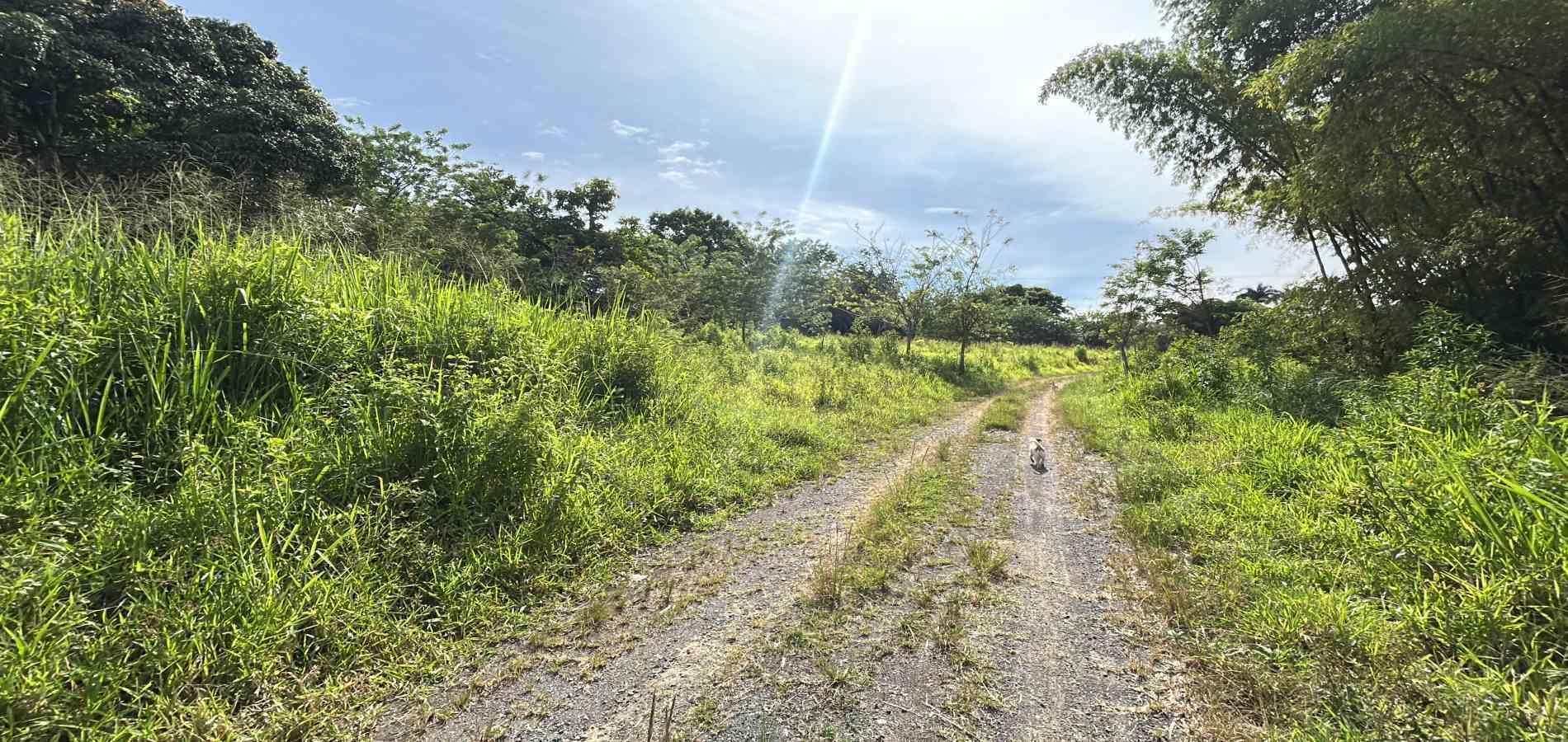 Foto de Lote / terreno en Venta en Cerritos, Pereira - 9 - 279068089