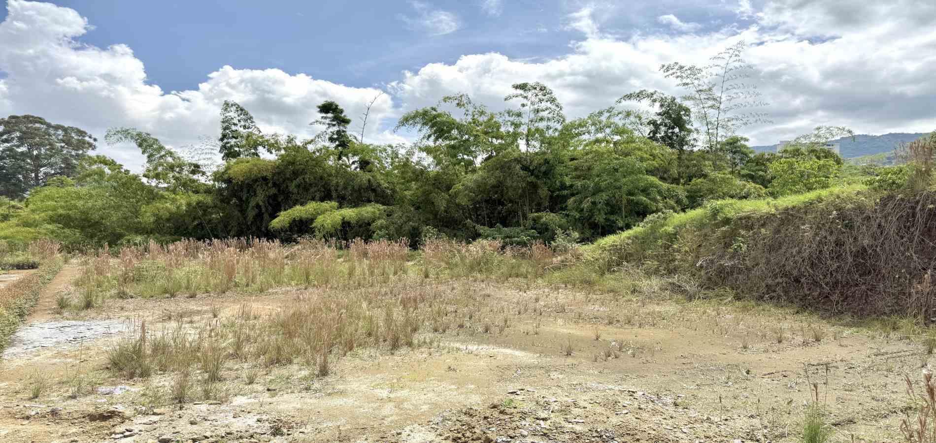 Foto de Lote / terreno en Venta en La pradera, Dosquebradas - 12 - 279061786