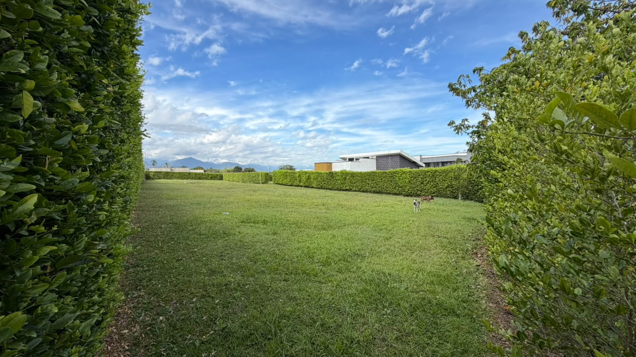 Foto de Lote / terreno en Venta en Barcelona, Calarca - 6 - 279069296