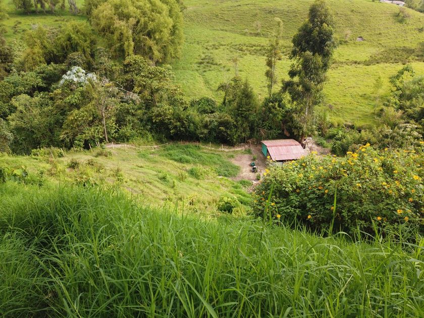 Foto de Lote / terreno en Venta en VillamarÍa, Villamaria - 14 - 279056144