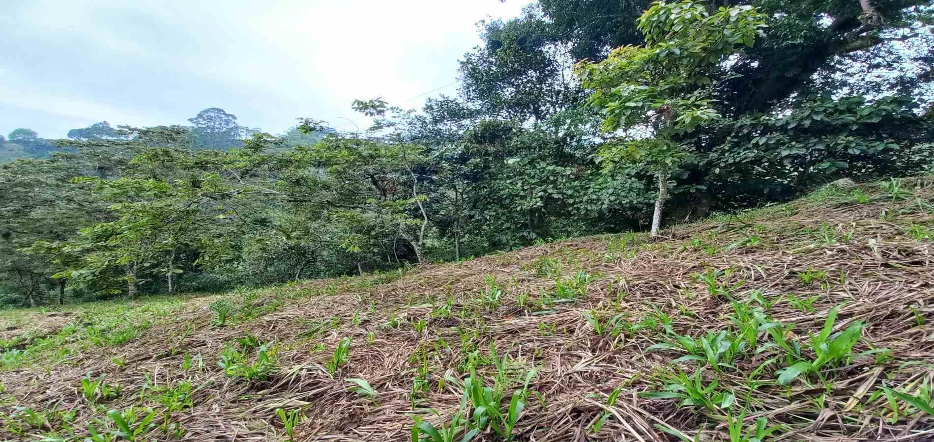 Foto de Lote / terreno en Venta en El bosque, Dosquebradas - 13 - 48802