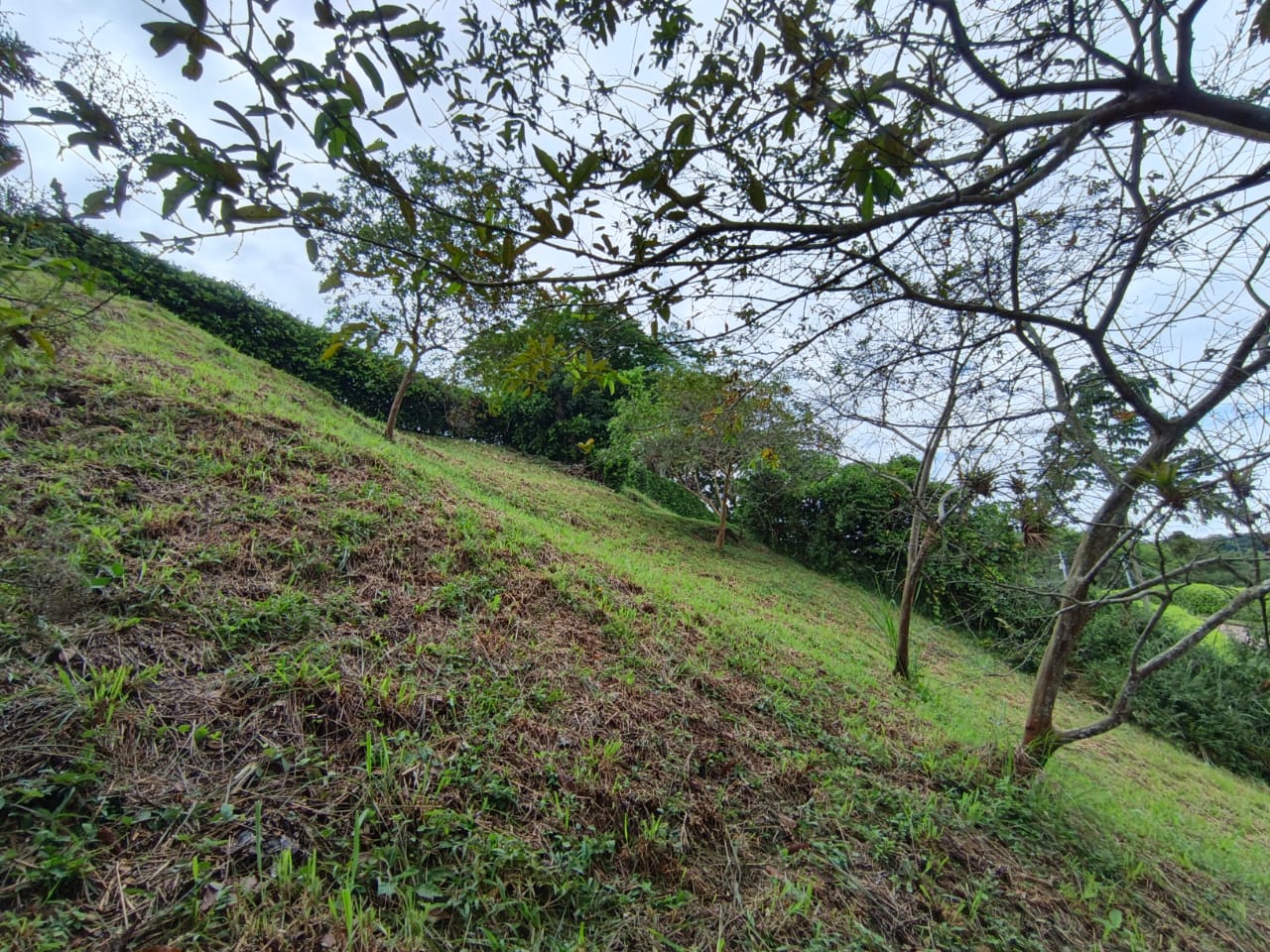 Foto de Lote / terreno en Venta en Condominio campestre reserva del campo, Manizales - 11 - 279064110