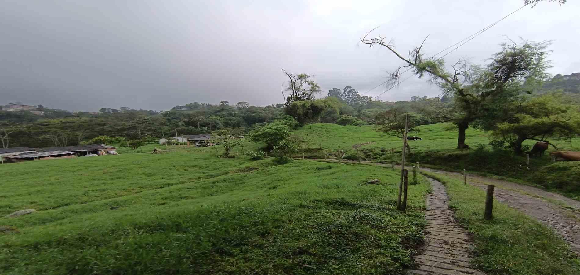 Foto de Finca en Venta en La francia, Manizales - 9 - 279066742