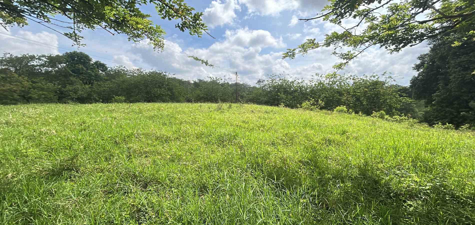 Foto de Lote / terreno en Venta en Via alcala, Pereira - 8 - 279066762
