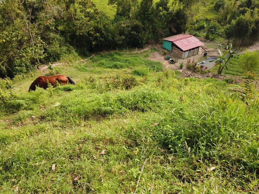 Foto de Lote / terreno en Venta en VillamarÍa, Villamaria - 15 - 279056144