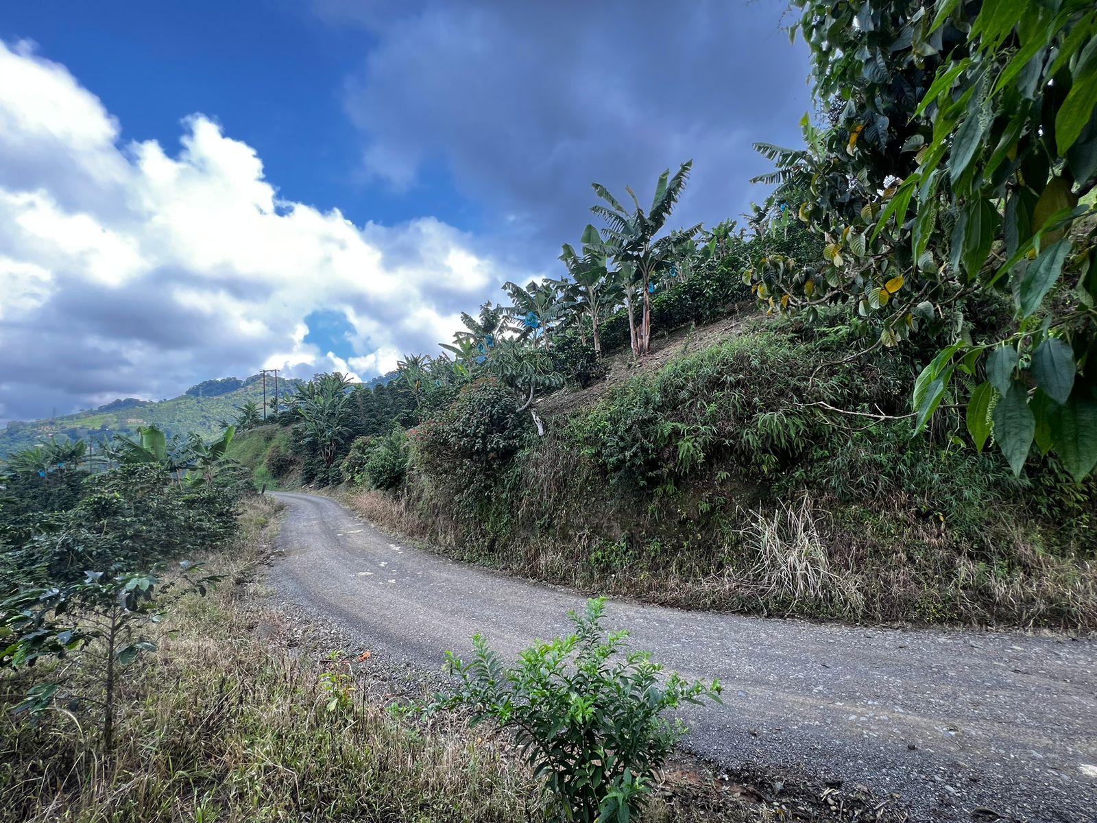Foto de Finca en Venta en San vicente, Pereira - 4 - 279057869