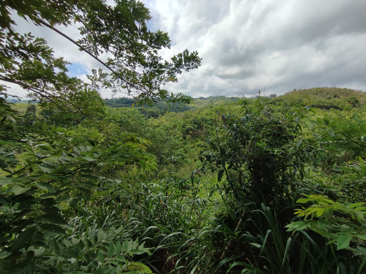 Foto de Lote / terreno en Venta en Cerritos, Pereira - 14 - 279063220