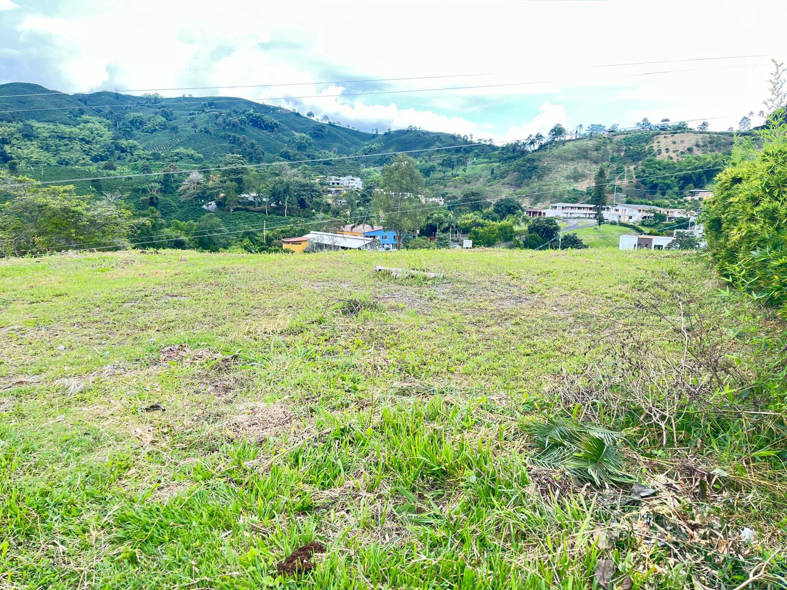 Foto de Lote / terreno en Venta en La muleta, Palestina - 2 - 279069585