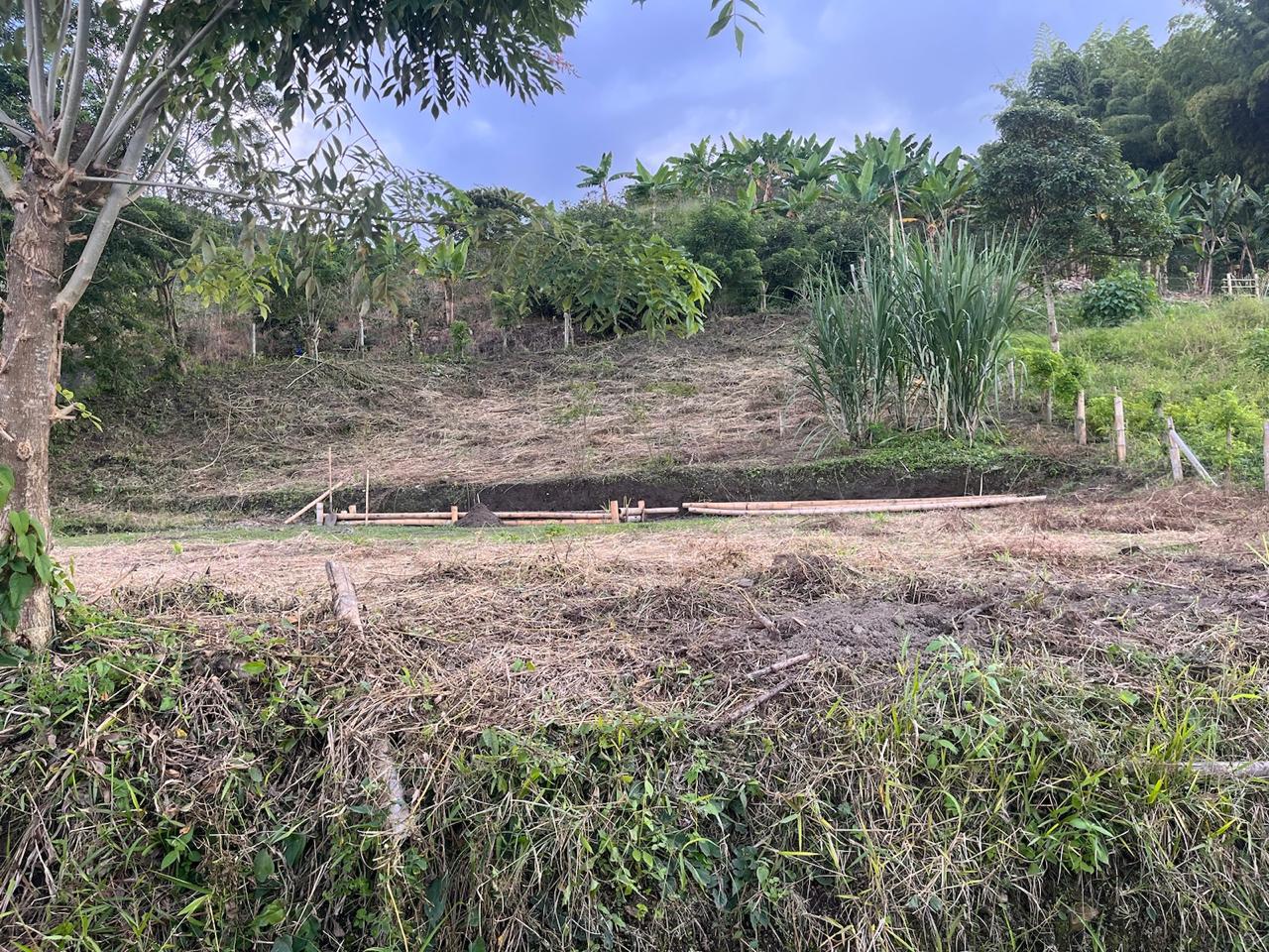 Foto de Finca en Venta en Tarroliso, Manizales - 3 - 279062549
