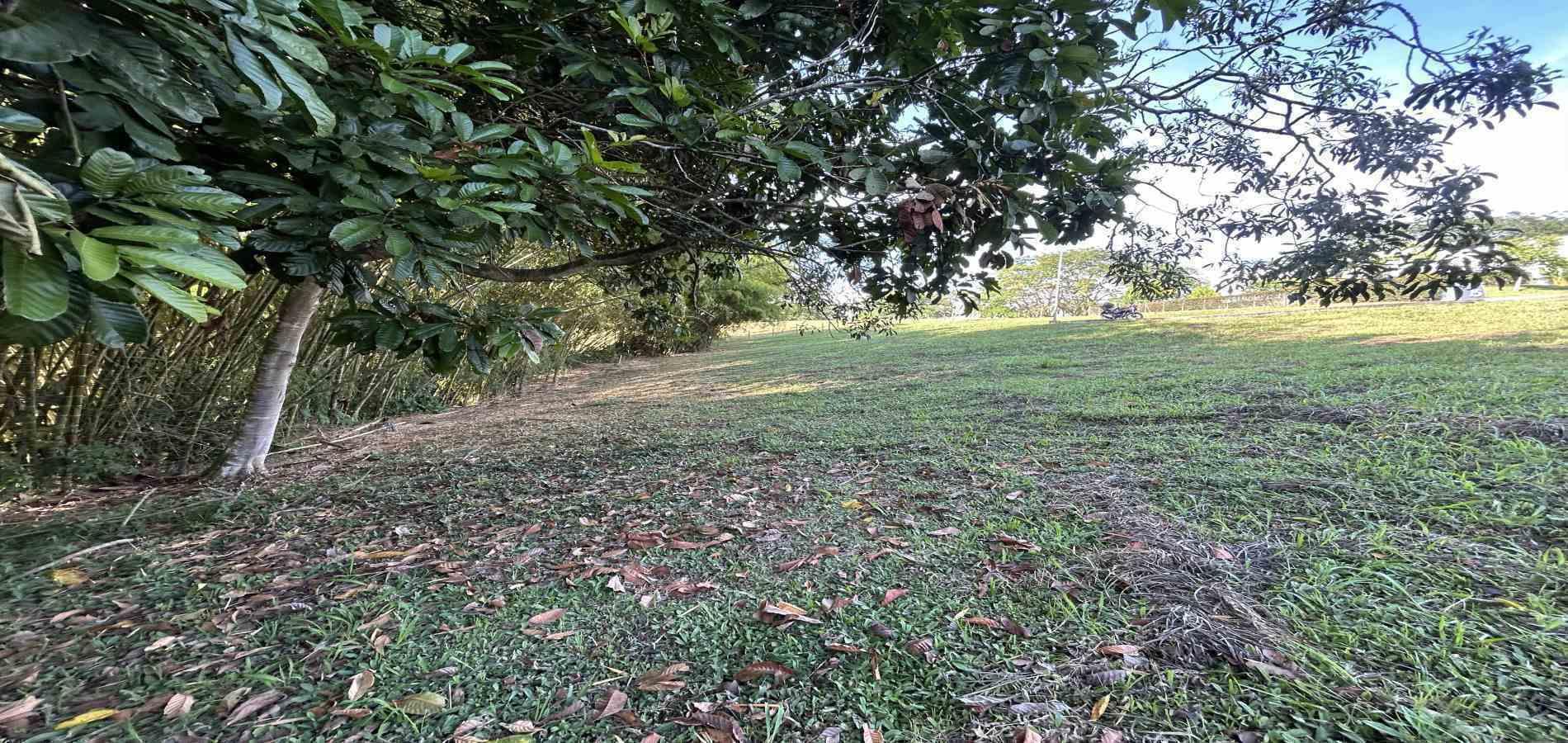 Foto de Lote / terreno en Venta en Cerritos, Pereira - 21 - 279069202
