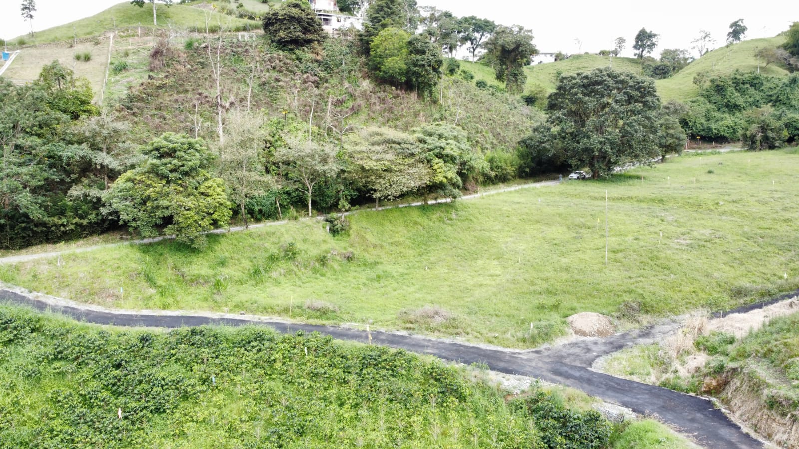 Foto de Lote / terreno para Venta en Via antigua palestina, Chinchina - 279063816