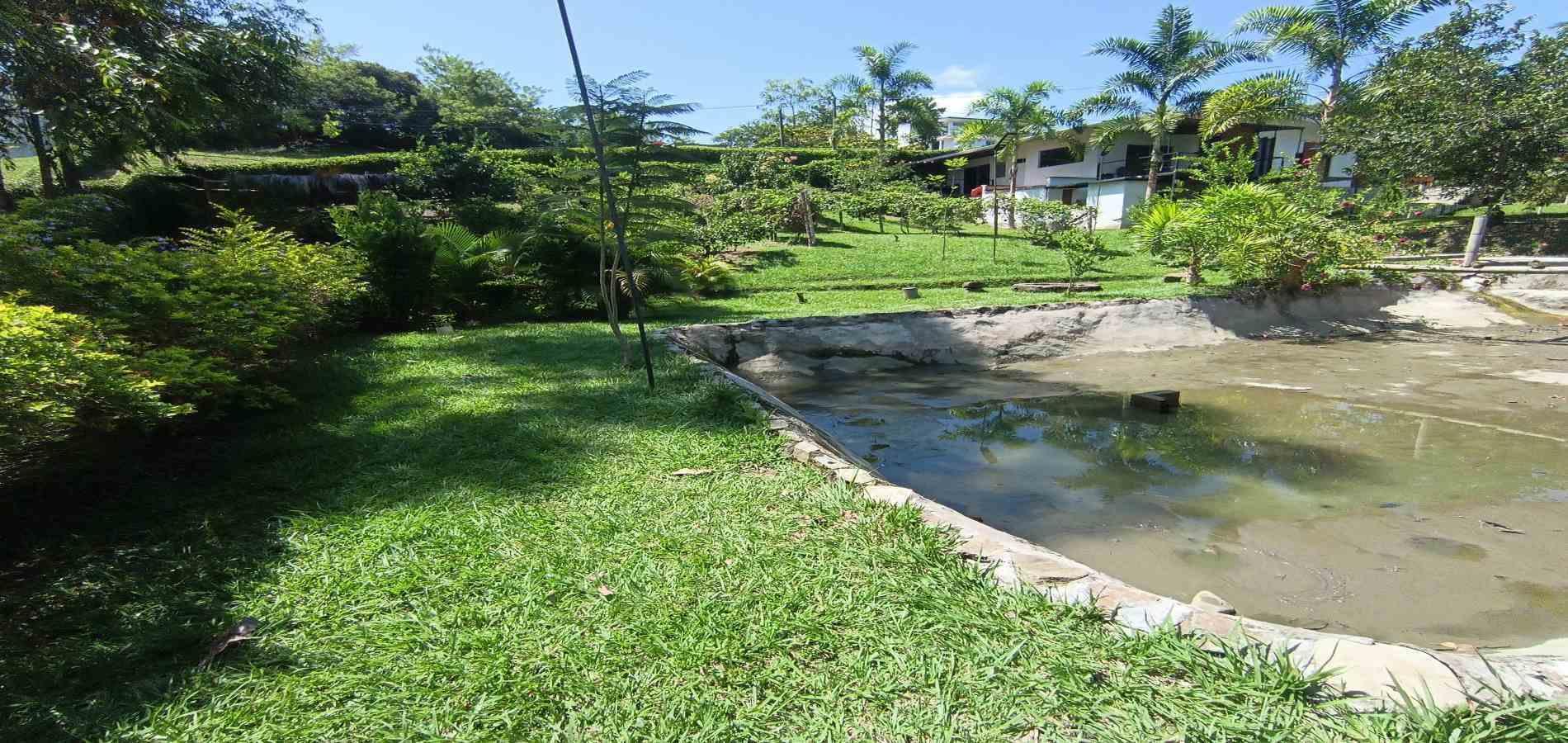 Foto de Lote / terreno en Venta en Vereda palermo, Neira - 14 - 279068279