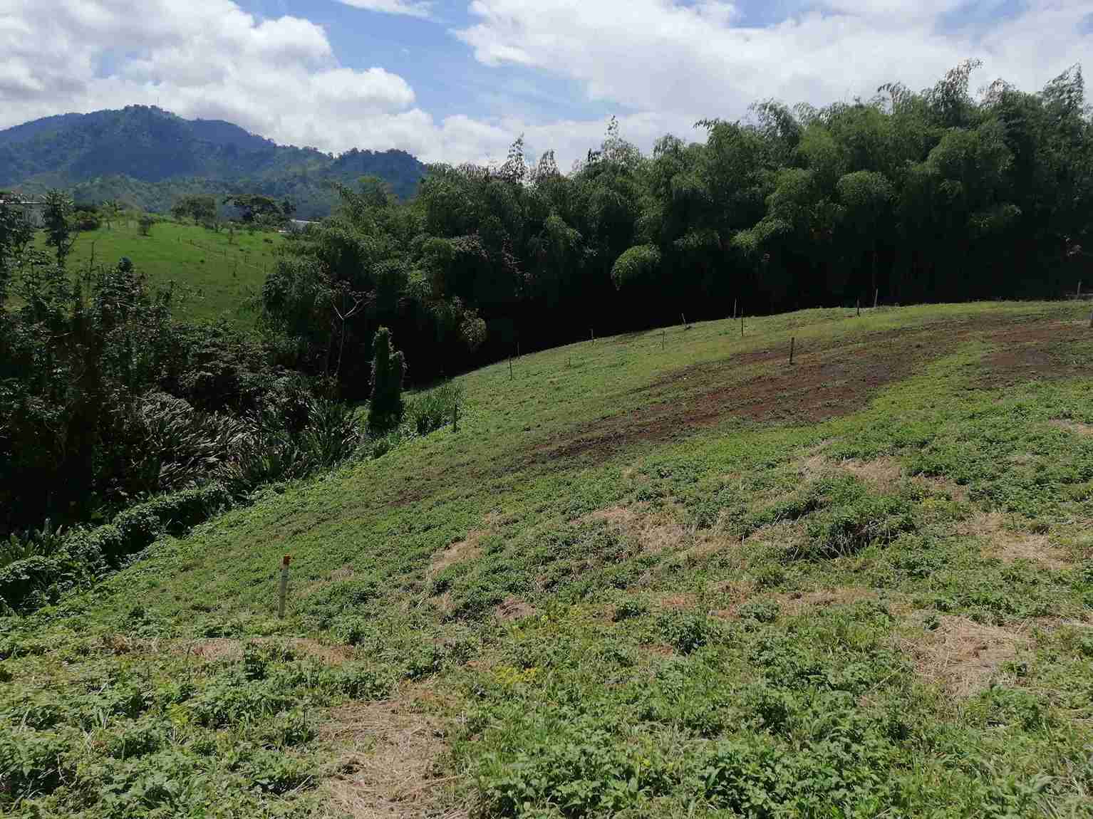 Foto de Lote / terreno en Venta en Combia, Pereira - 3 - 279058096