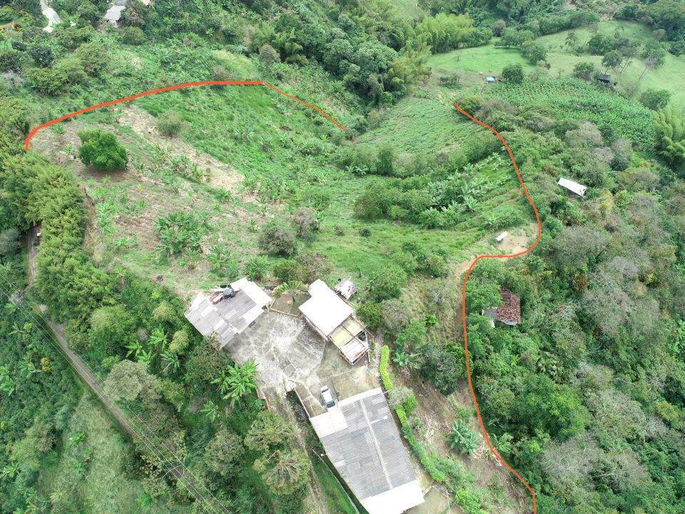 Foto de Finca en Venta en La cabaña, Manizales - 21 - 279062726