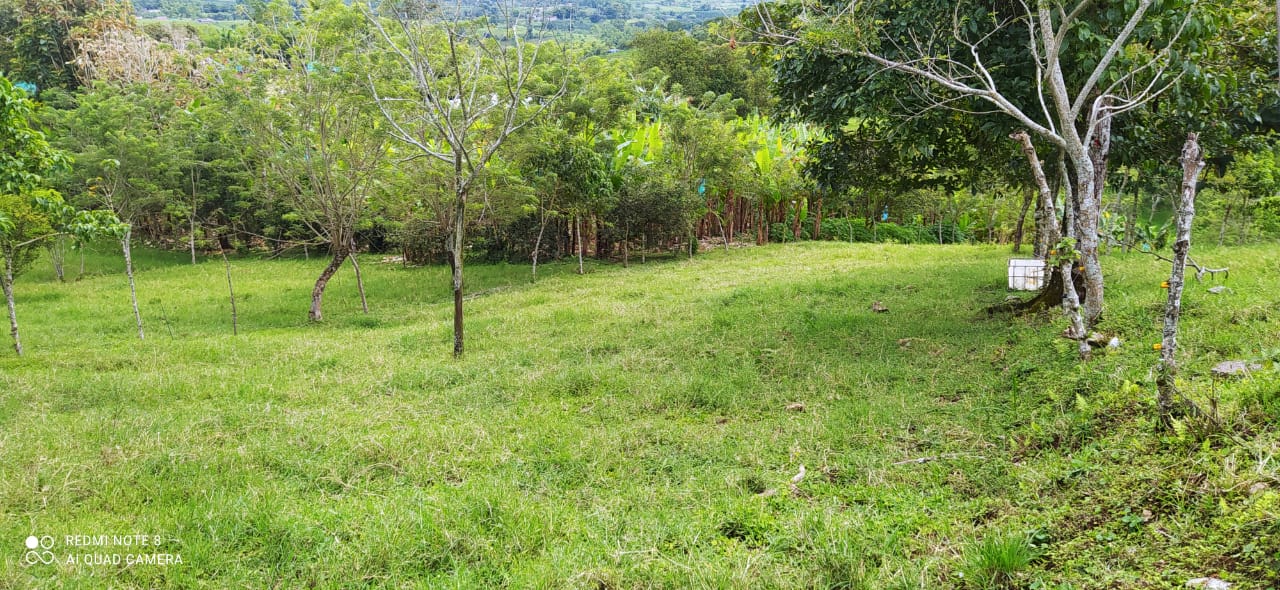 Foto de Lote / terreno en Venta en Altagracia, Pereira - 7 - 279057421