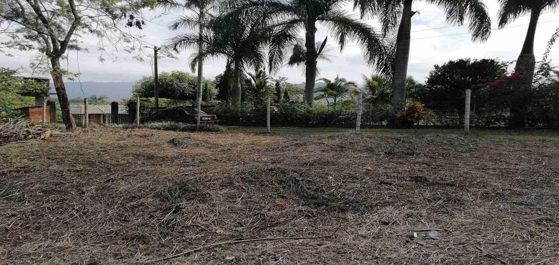 Foto de Lote / terreno en Venta en Combia, Pereira - 2 - 279056754