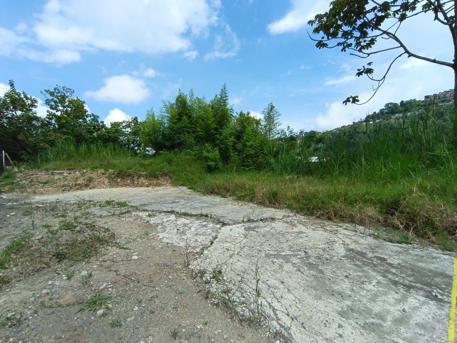 Foto de Lote / terreno en Venta en Panamericana, Manizales - 11 - 279063718
