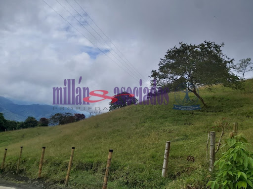 Foto de Finca en Venta en Vereda san luis , Filadelfia - 11 - 279013551