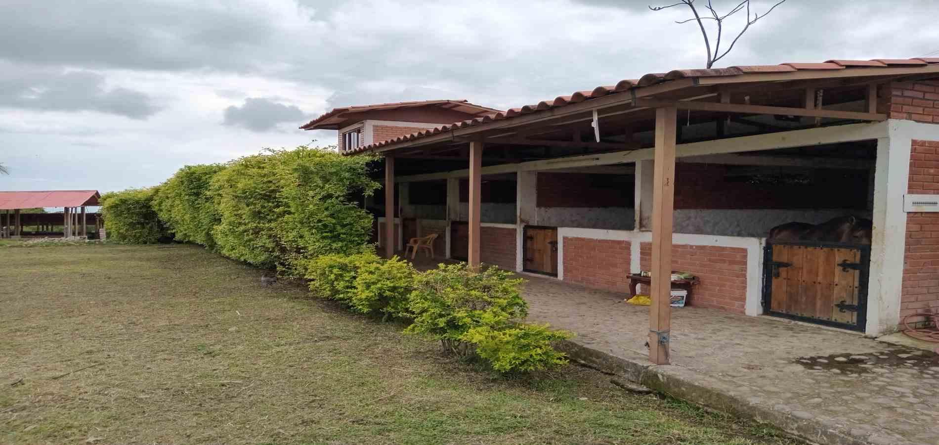 Foto de Finca en Venta en A dos cuadras del parque, Circasia - 8 - 279056832