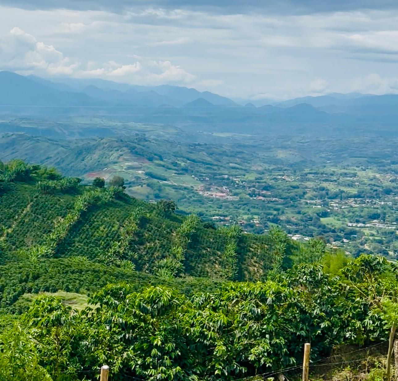 Foto de Lote / terreno en Venta en Sacatin, Manizales - 2 - 279064338