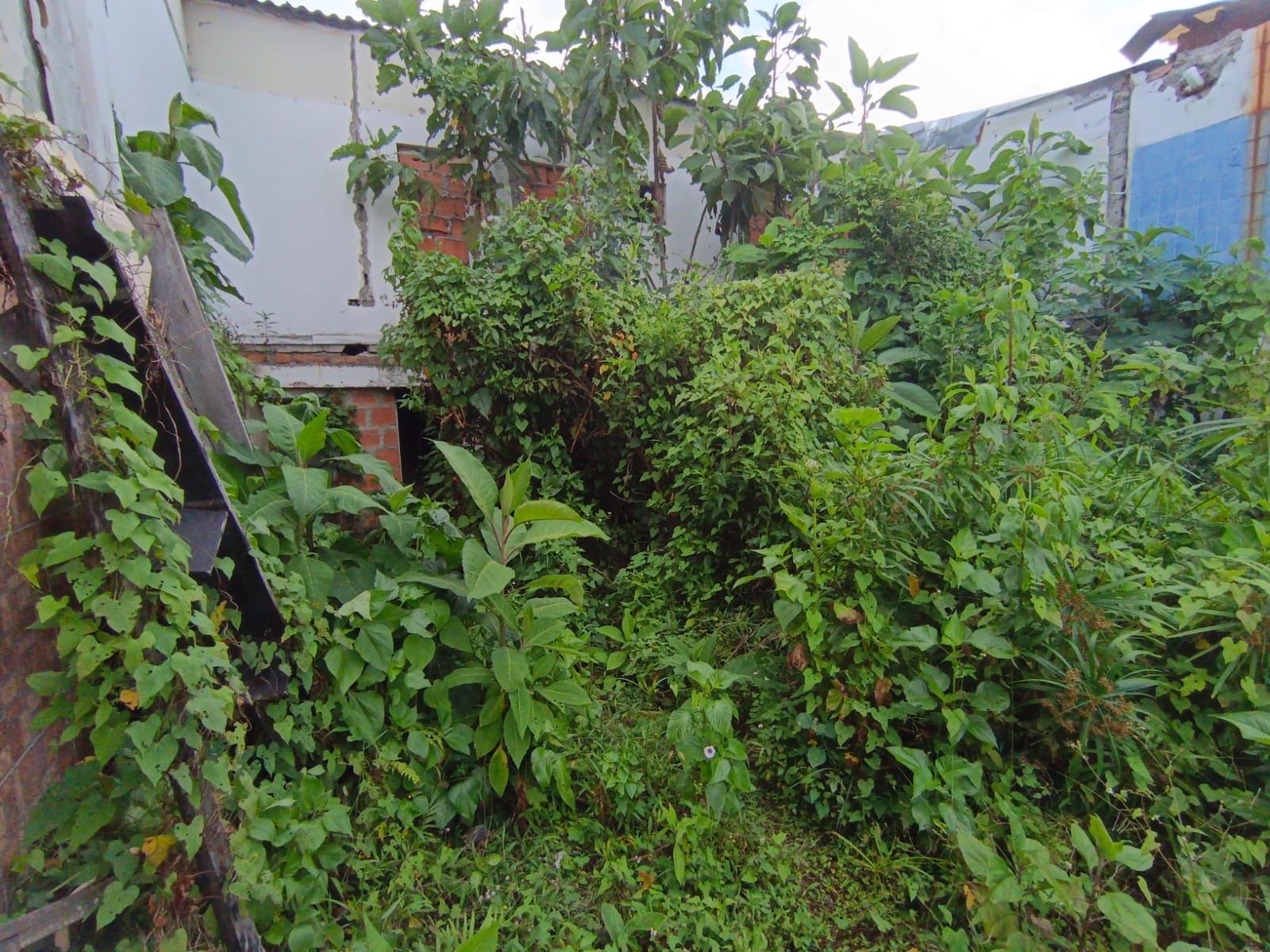 Foto de Lote / terreno para Venta en Fátima, Manizales - 279068979