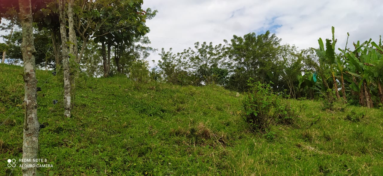 Foto de Lote / terreno en Venta en Altagracia, Pereira - 10 - 279057421