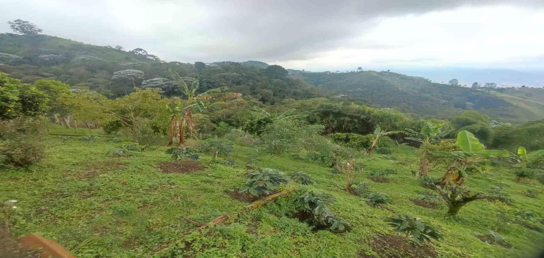 Foto de Finca en Venta en Vereda la independencia alto del nudo, Dosquebradas - 26 - 279065382