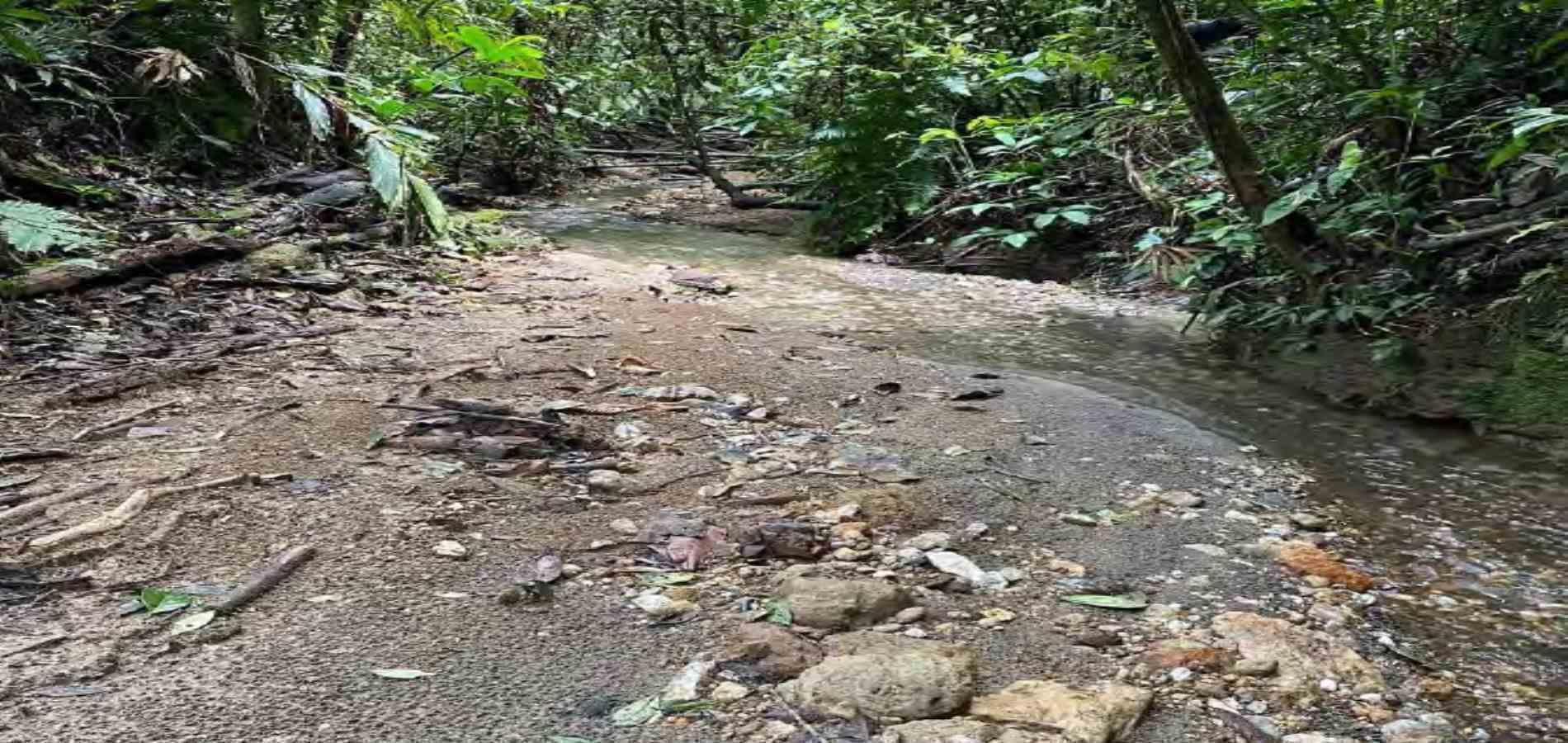 Foto de Casa campestre en Venta en Via armenia, Pereira - 21 - 279056555