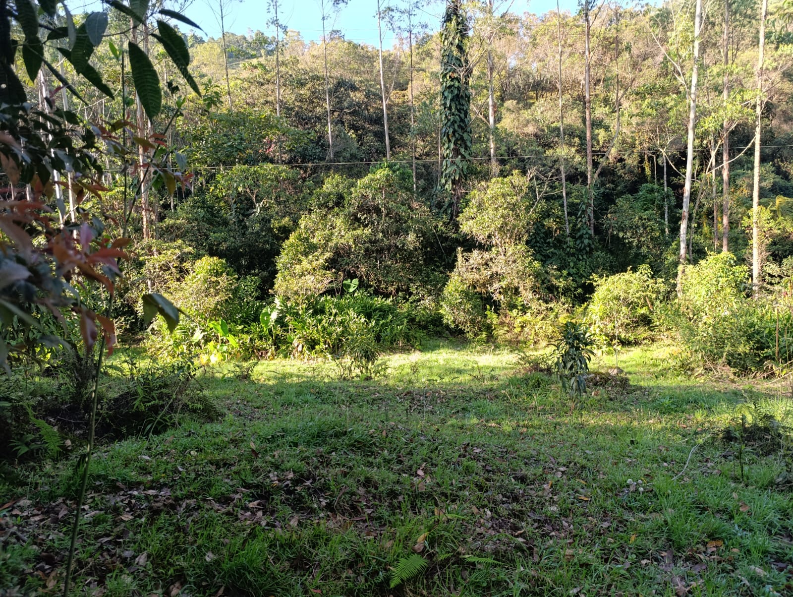 Foto de Lote / terreno en Venta en Santa rosa de cabal, Santa rosa de cabal - 7 - 279064480