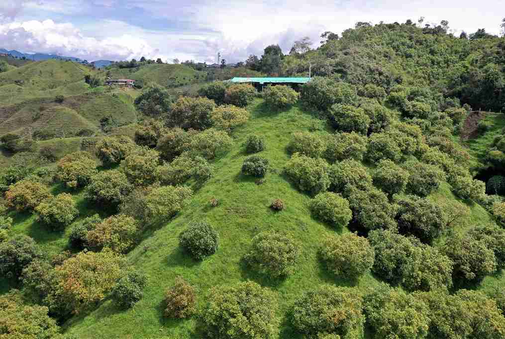 Foto de Finca en Venta en Vereda aguadita, Fresno - 19 - 279054270