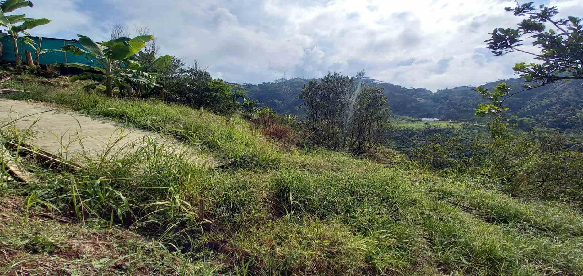 Foto de Finca en Venta en San peregrino, Manizales - 13 - 279061656