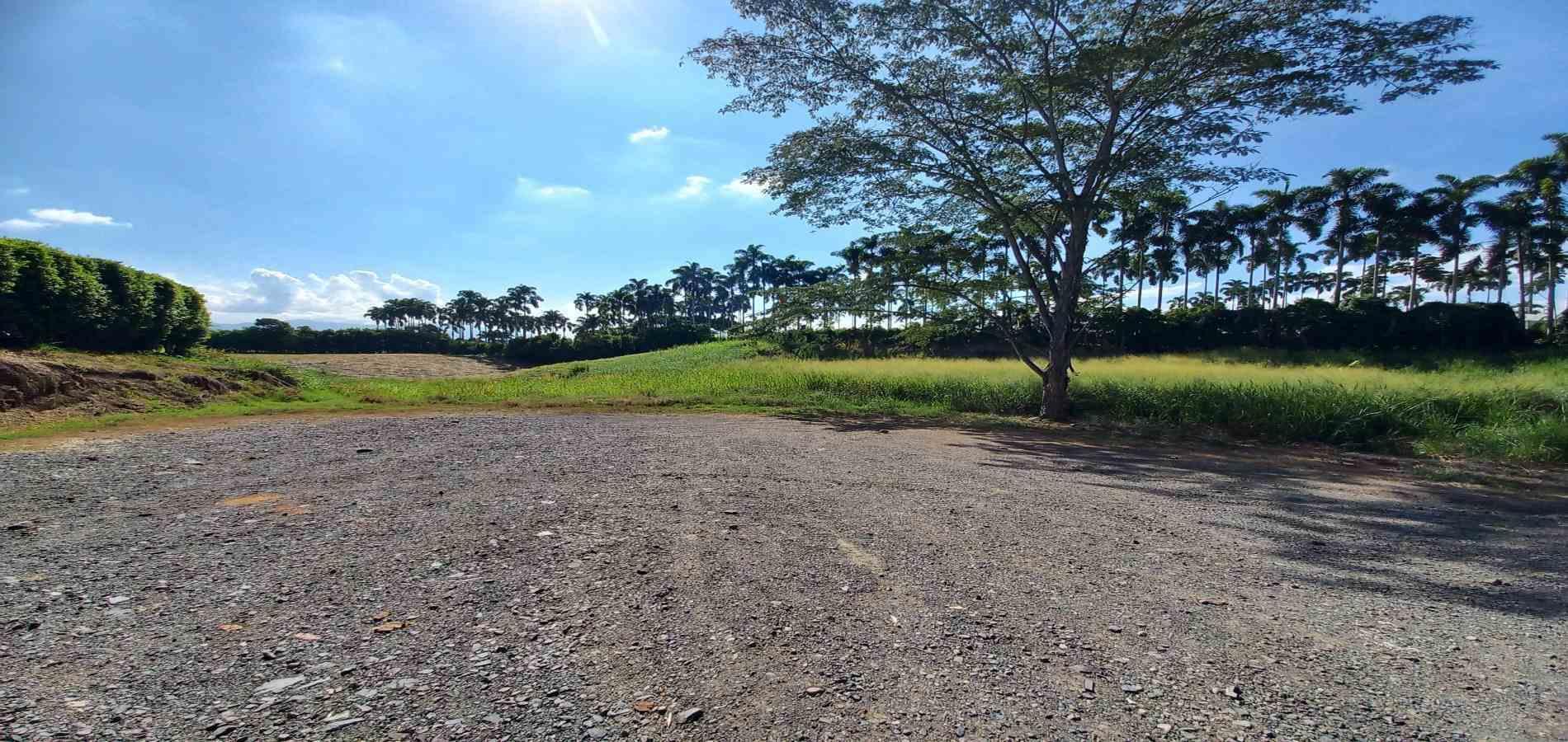 Foto de Lote / terreno en Venta en Cerritos, Pereira - 9 - 279069860