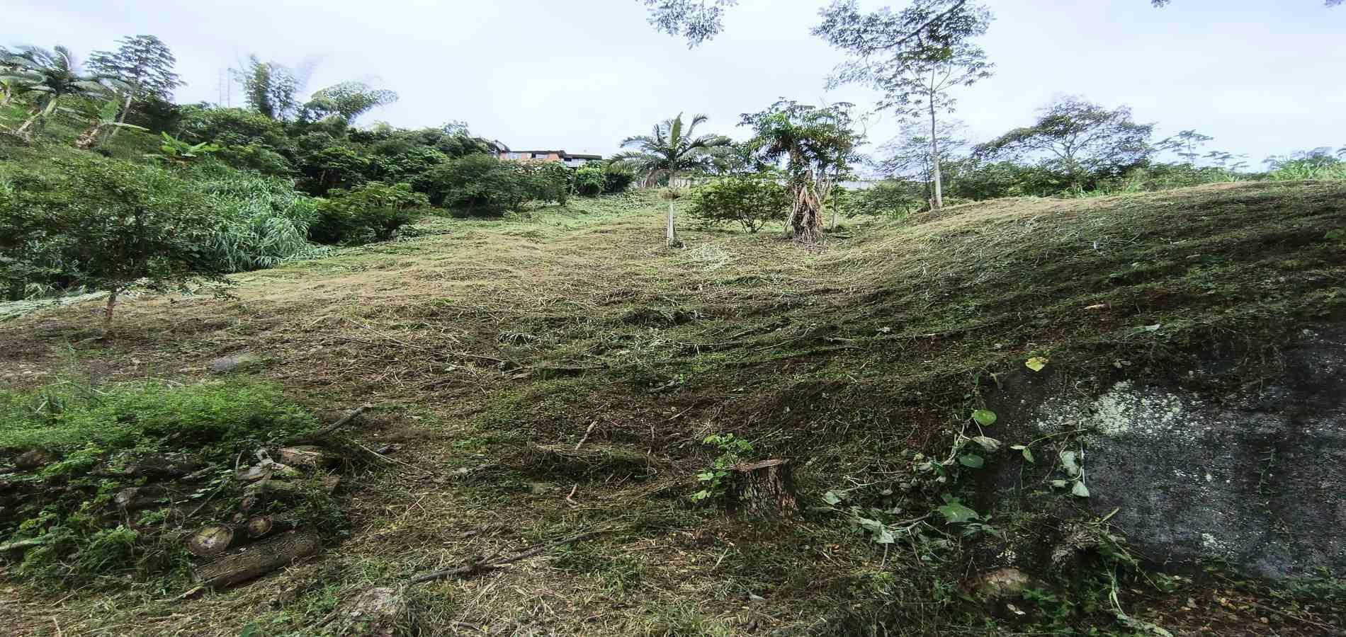 Foto de Lote / terreno en Venta en Vereda la trinidad, Manizales - 24 - 279066610
