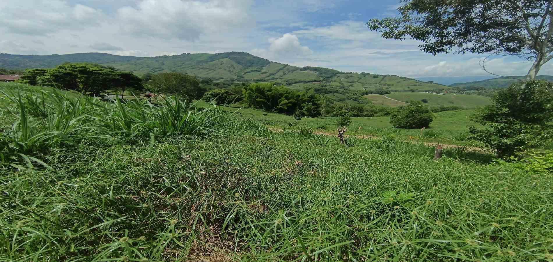 Foto de Lote / terreno en Venta en Vereda santagueda, Palestina - 8 - 279064609