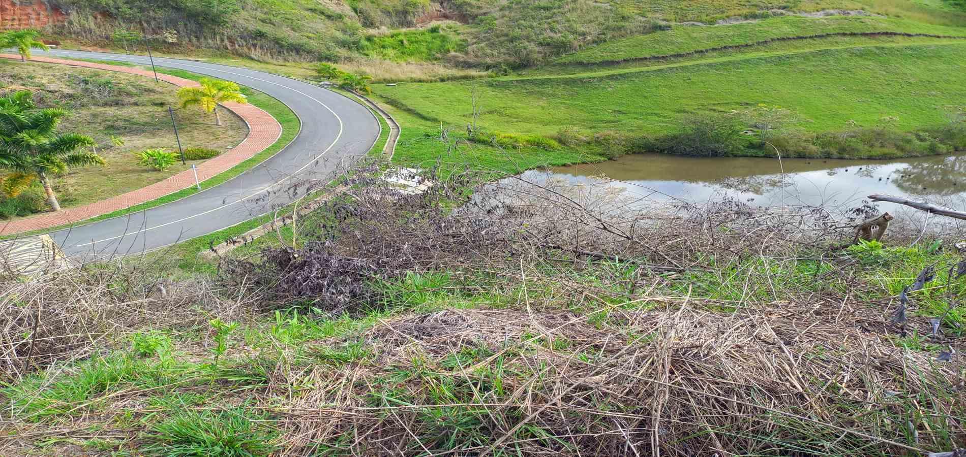Foto de Lote / terreno en Venta en Cerritos, Pereira - 10 - 279067404