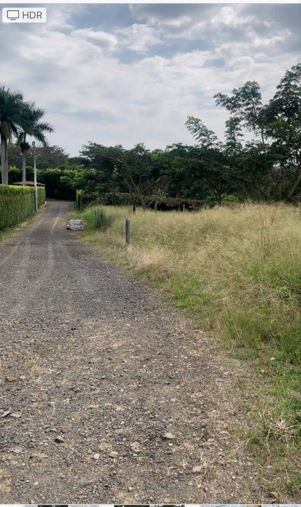 Foto de Lote / terreno para Venta en Cerritos, Pereira - 279063945