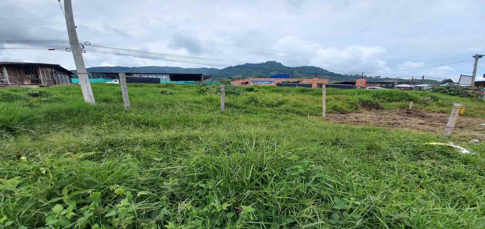 Foto de Lote / terreno para Venta en Bosques de la campina, Santa rosa de cabal - 279066603