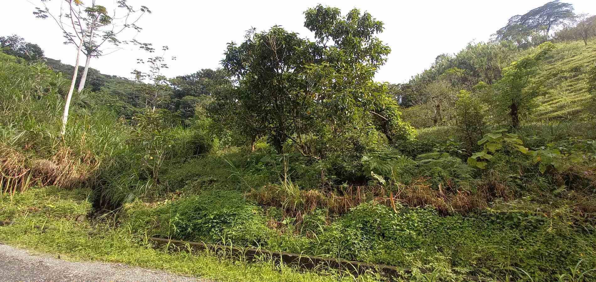 Foto de Lote / terreno en Venta en Vereda la trinidad, Manizales - 9 - 279062688