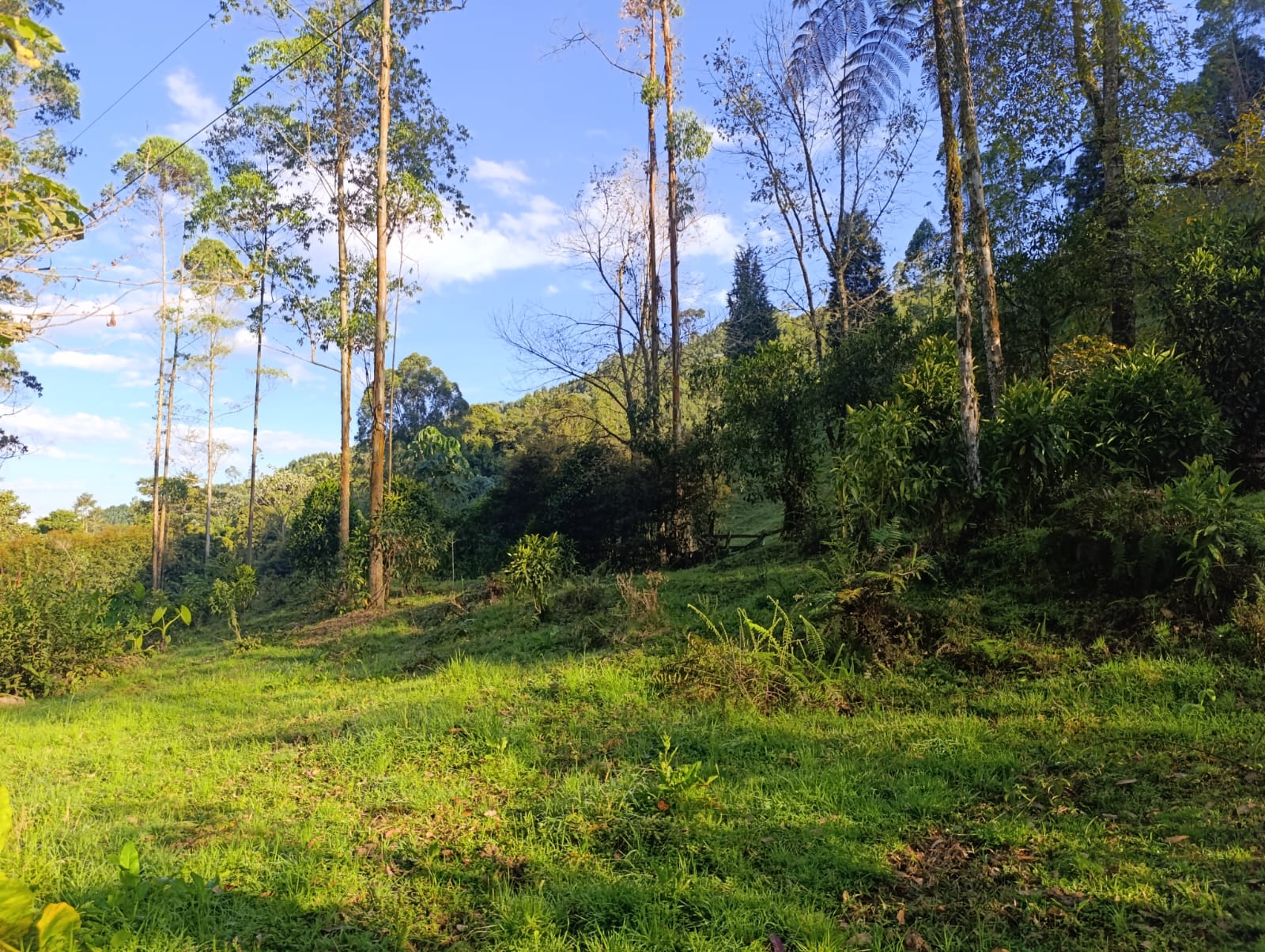 Foto de Lote / terreno en Venta en Santa rosa de cabal, Santa rosa de cabal - 13 - 279064480
