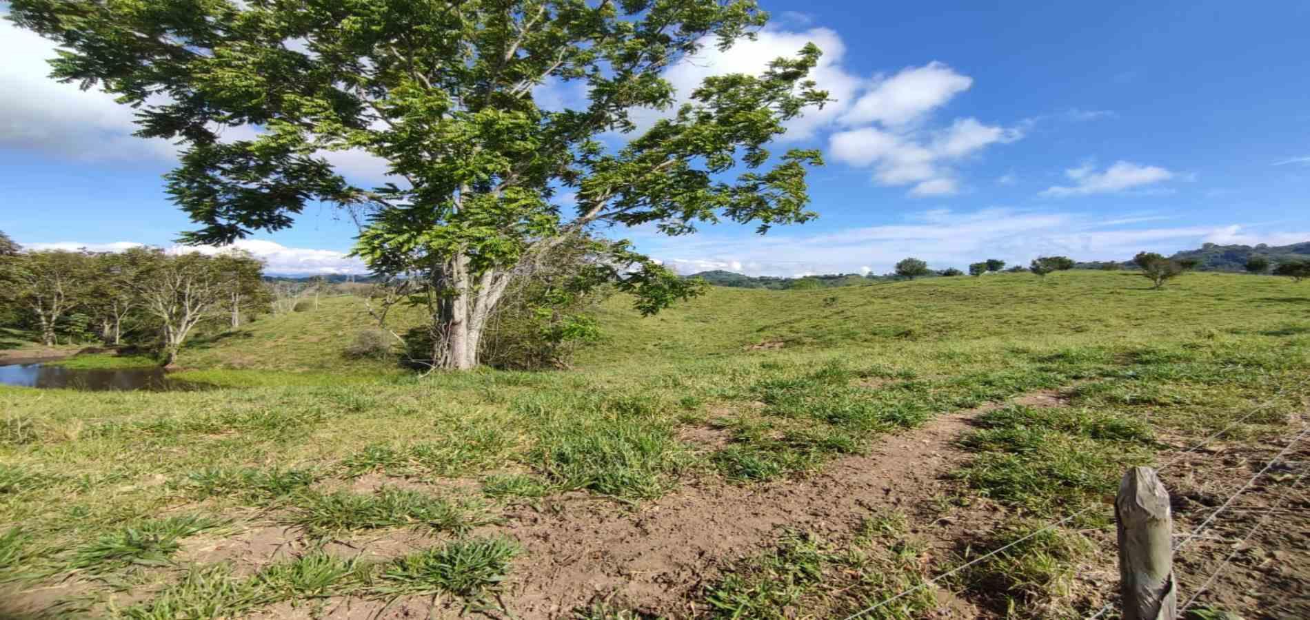 Foto de Lote / terreno para Venta en Cerritos, Pereira - 279064552