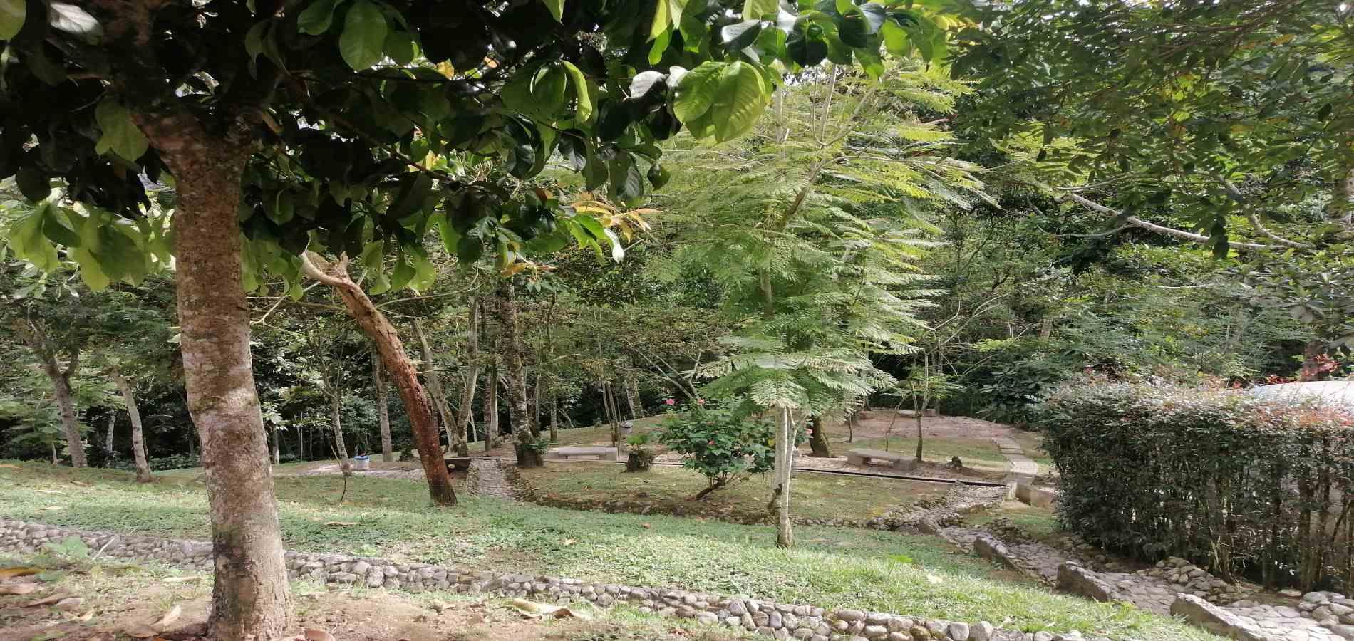 Foto de Apartamento en Venta en Piamonte, Dosquebradas - 29 - 279058688