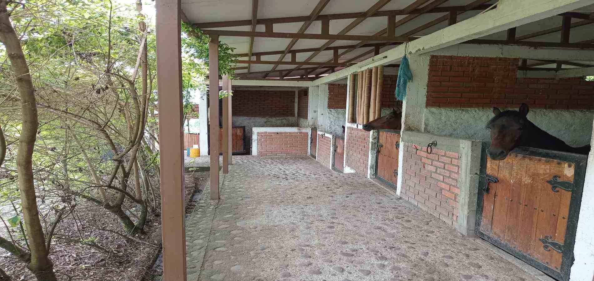 Foto de Finca en Venta en A dos cuadras del parque, Circasia - 7 - 279056832
