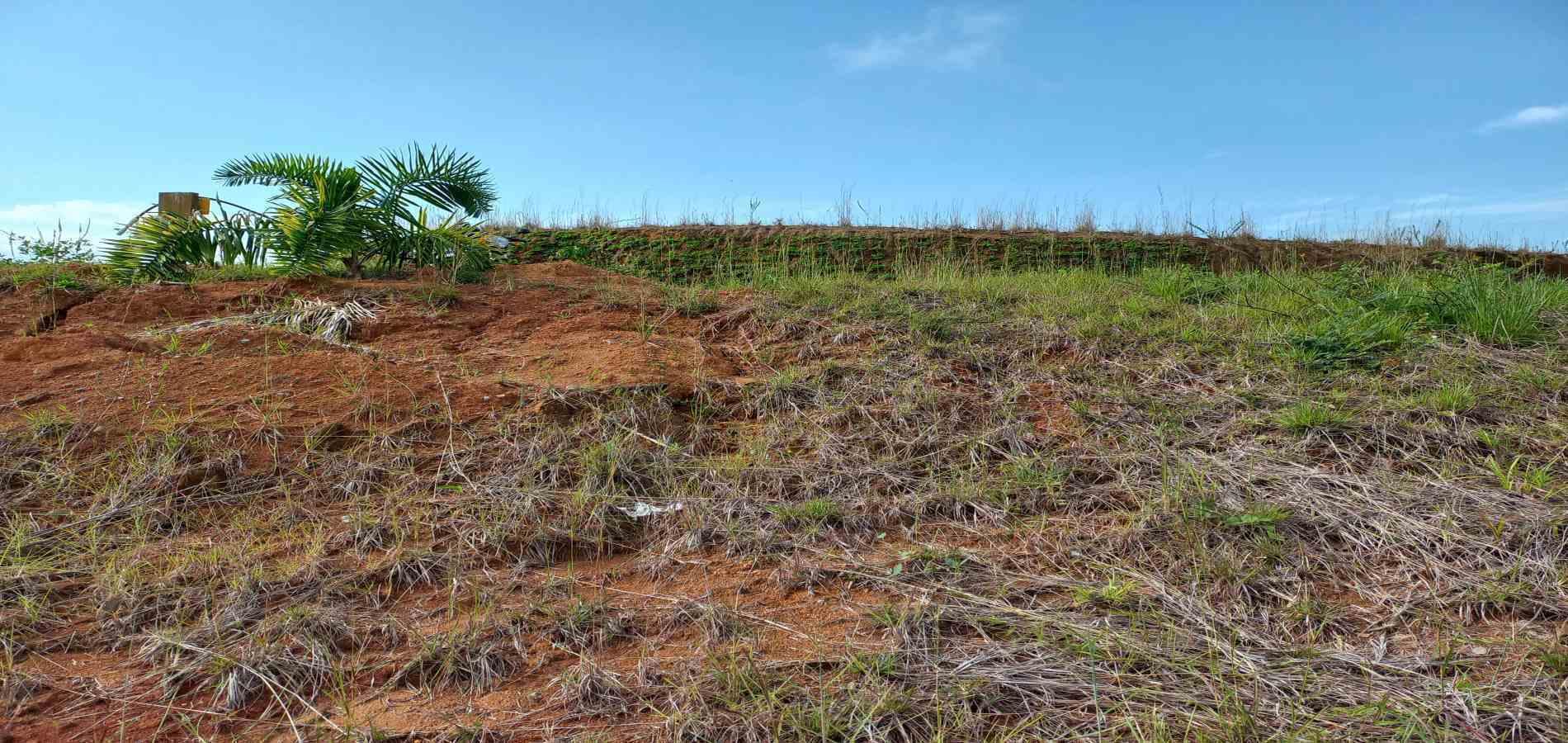 Foto de Lote / terreno en Venta en Cerritos, Pereira - 7 - 279067404